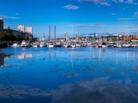 Marina du Port de Québec